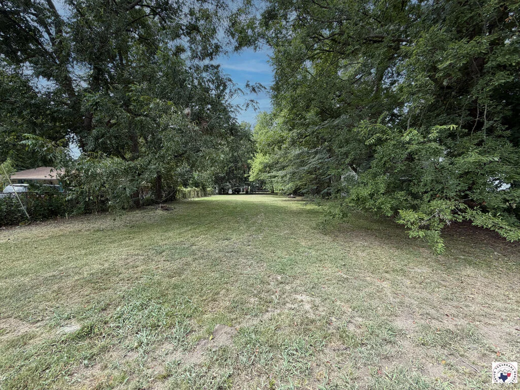Grassy lot and wooded edge at 124 E Crockett