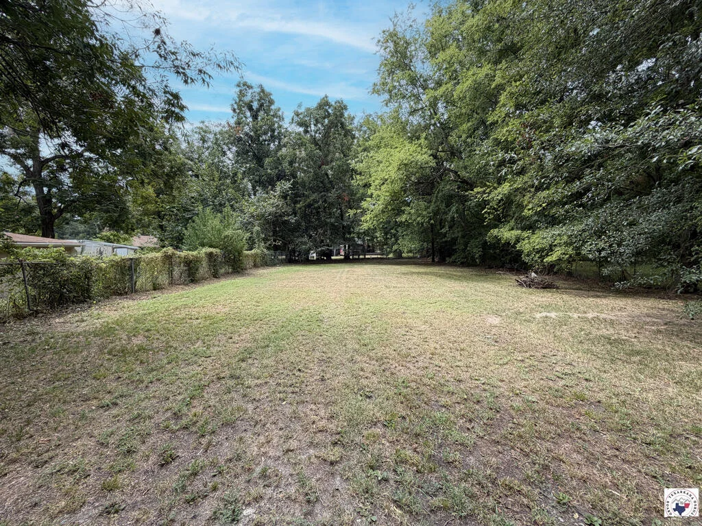 View across the lot toward trees at 124 E Crockett