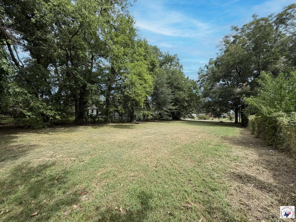 Open space and surrounding trees at 124 E Crockett