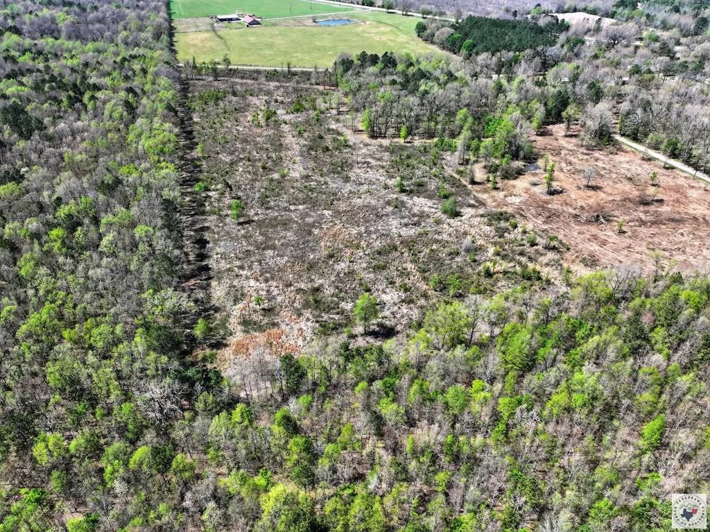 Overhead view of the tract and neighboring land at County Road 4223