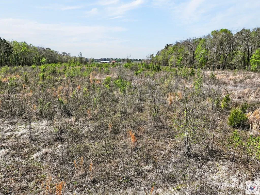 Open land with tree line at County Road 4223